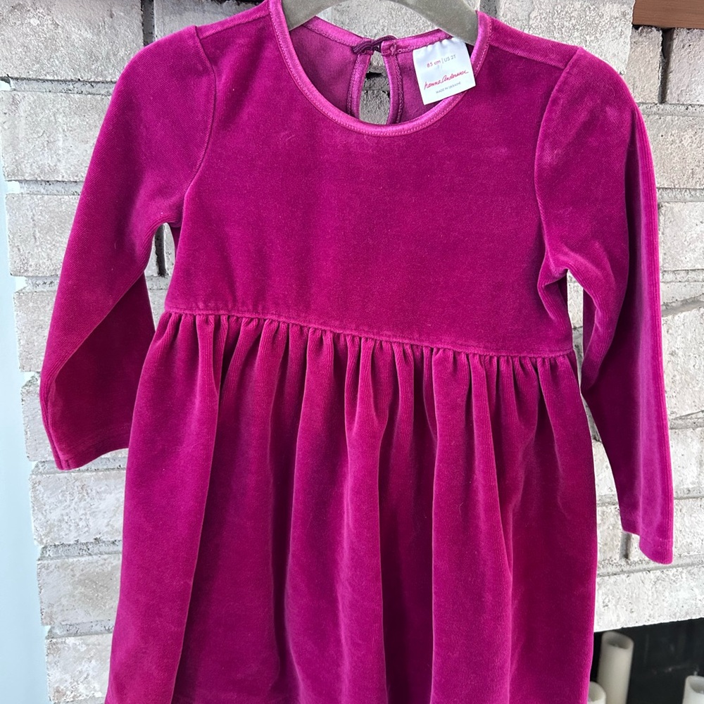 Hanna Andersson Velvet Long Sleeve Dress in Fuchsia